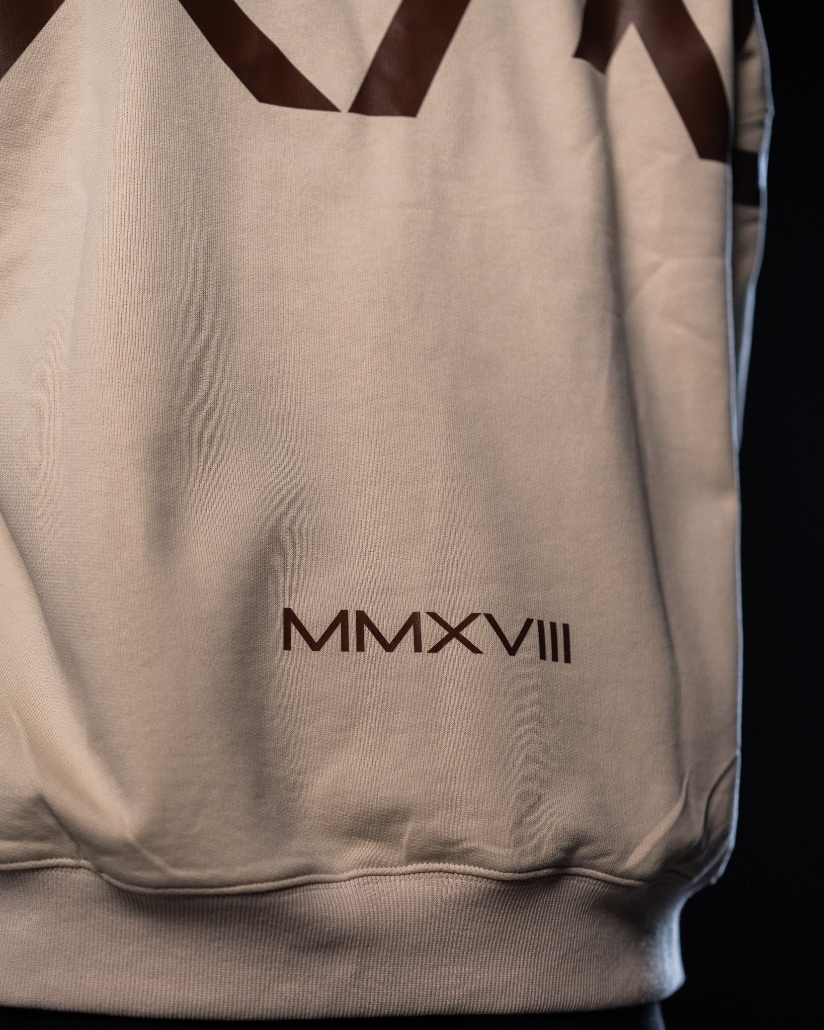 Heavyweight Oversize Crewneck BXAV Logo
